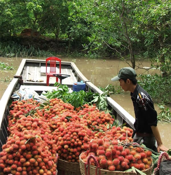 Phải tổ chức sản xuất theo chuỗi giá trị