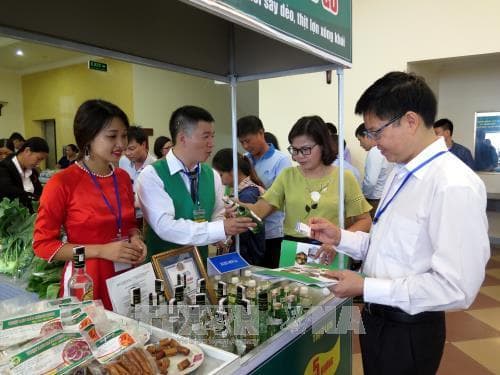 Tạo đột phá về thị trường và chất lượng sản phẩm an toàn