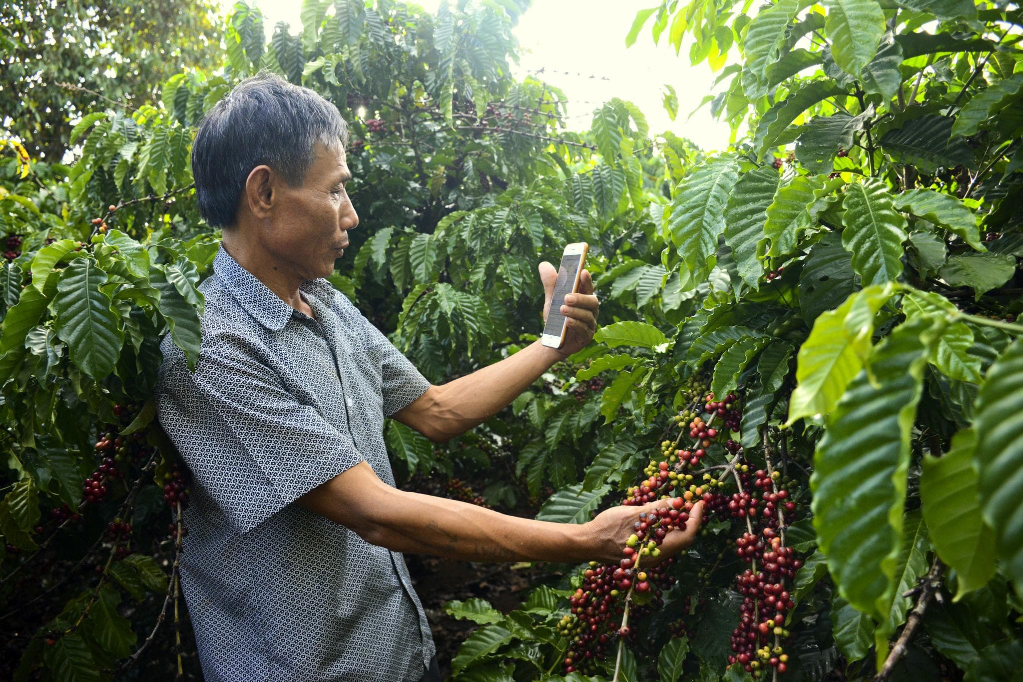 Bài 1: Đổi thay những số phận