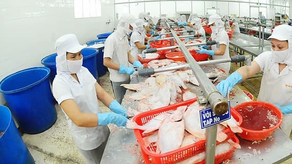 Chủ động để chiếm lĩnh thị trường EU