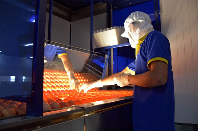 Không chỉ dành cho các doanh nghiệp lớn