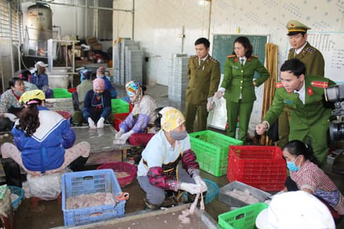 Thanh Hóa thu giữ gần 300 kg nội tạng động vật bốc mùi hôi thối