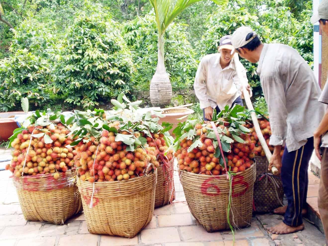 Giá trị nông sản quyết định kim ngạch xuất khẩu