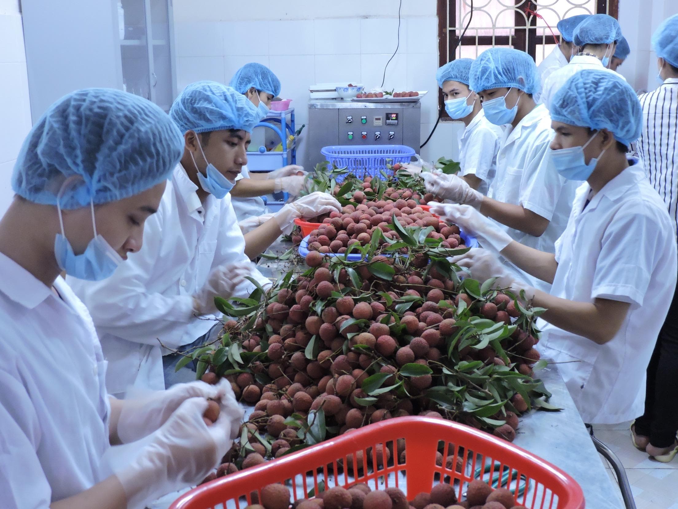 Để hàng Việt tiến sâu vào thị trường quốc tế