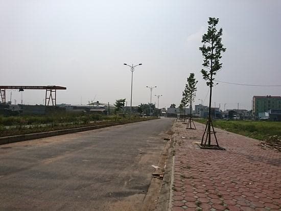 Không để thông tin nhiễu loạn cản bước nhà đầu tư