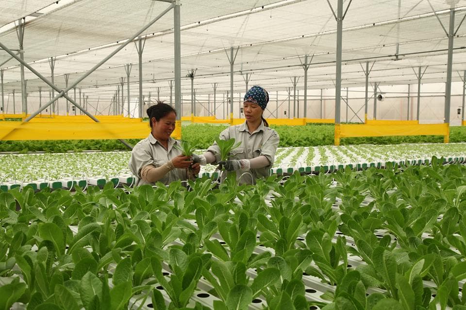 Cơ hội thúc đẩy tăng trưởng và cải cách thể chế