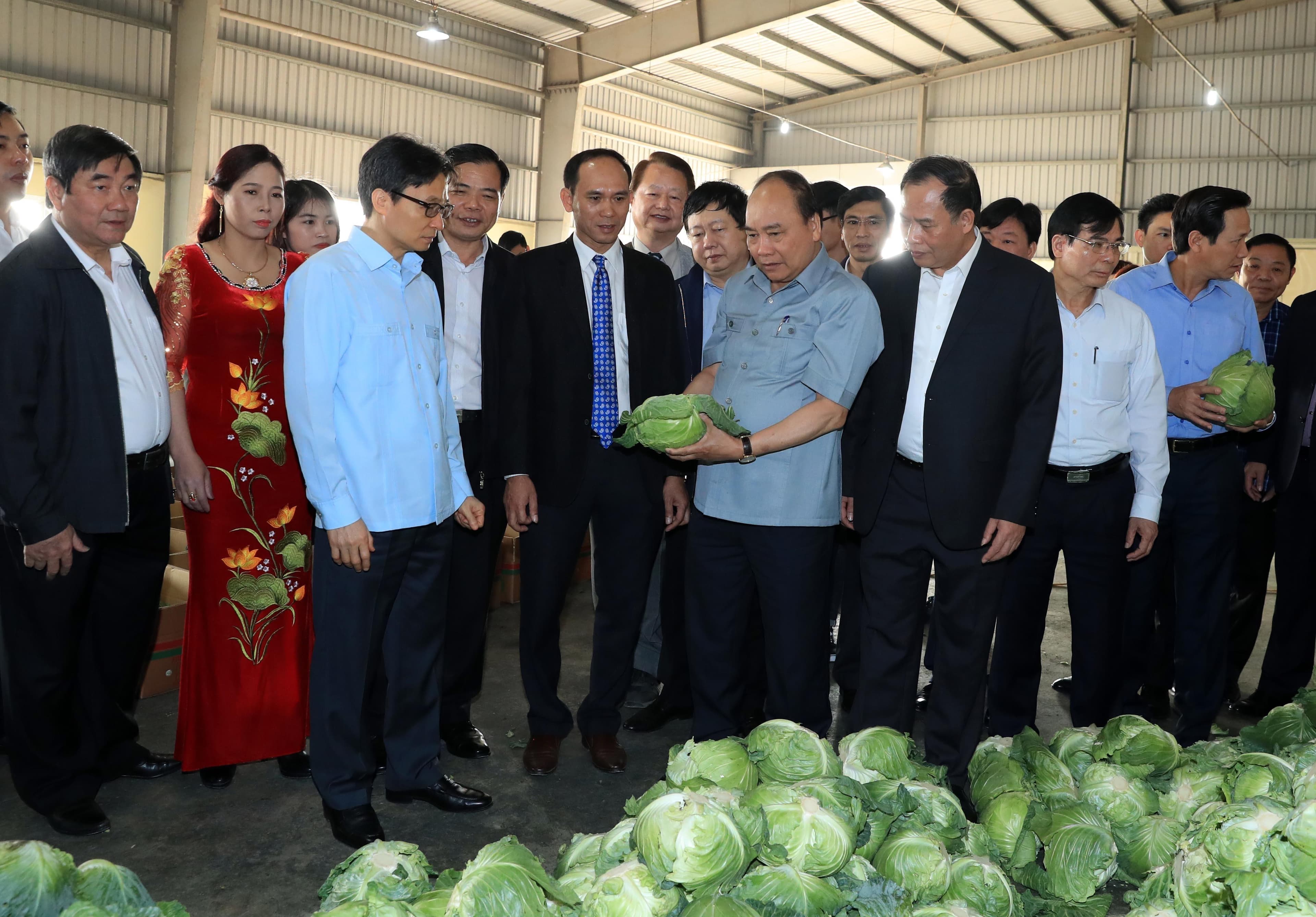 Giải bài toán thị trường và tín dụng cho sản xuất nông sản