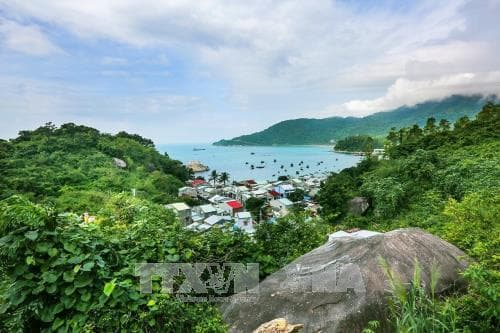 Cơ hội thu "tỷ đô" từ việc bán khả năng hấp thụ khí CO2