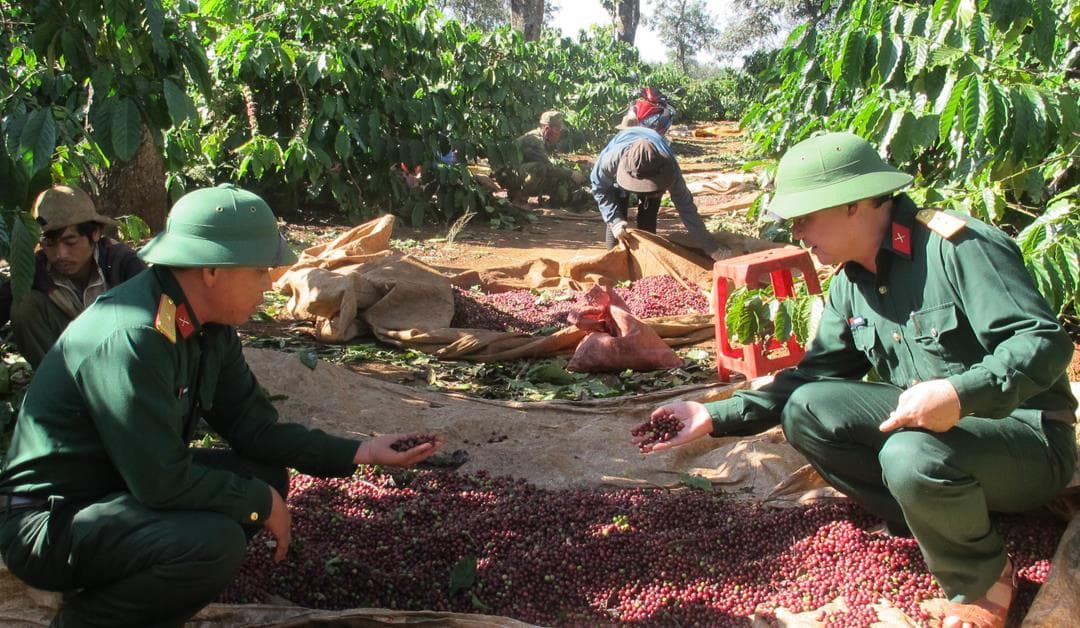Nâng tầm thương hiệu Việt