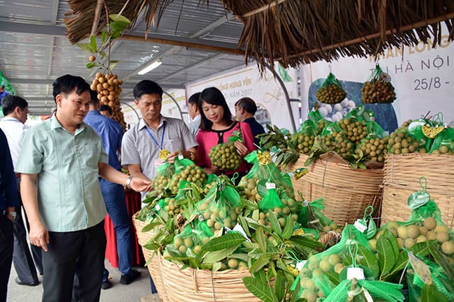Mặt hàng rau quả và trái cây có lợi thế phát triển