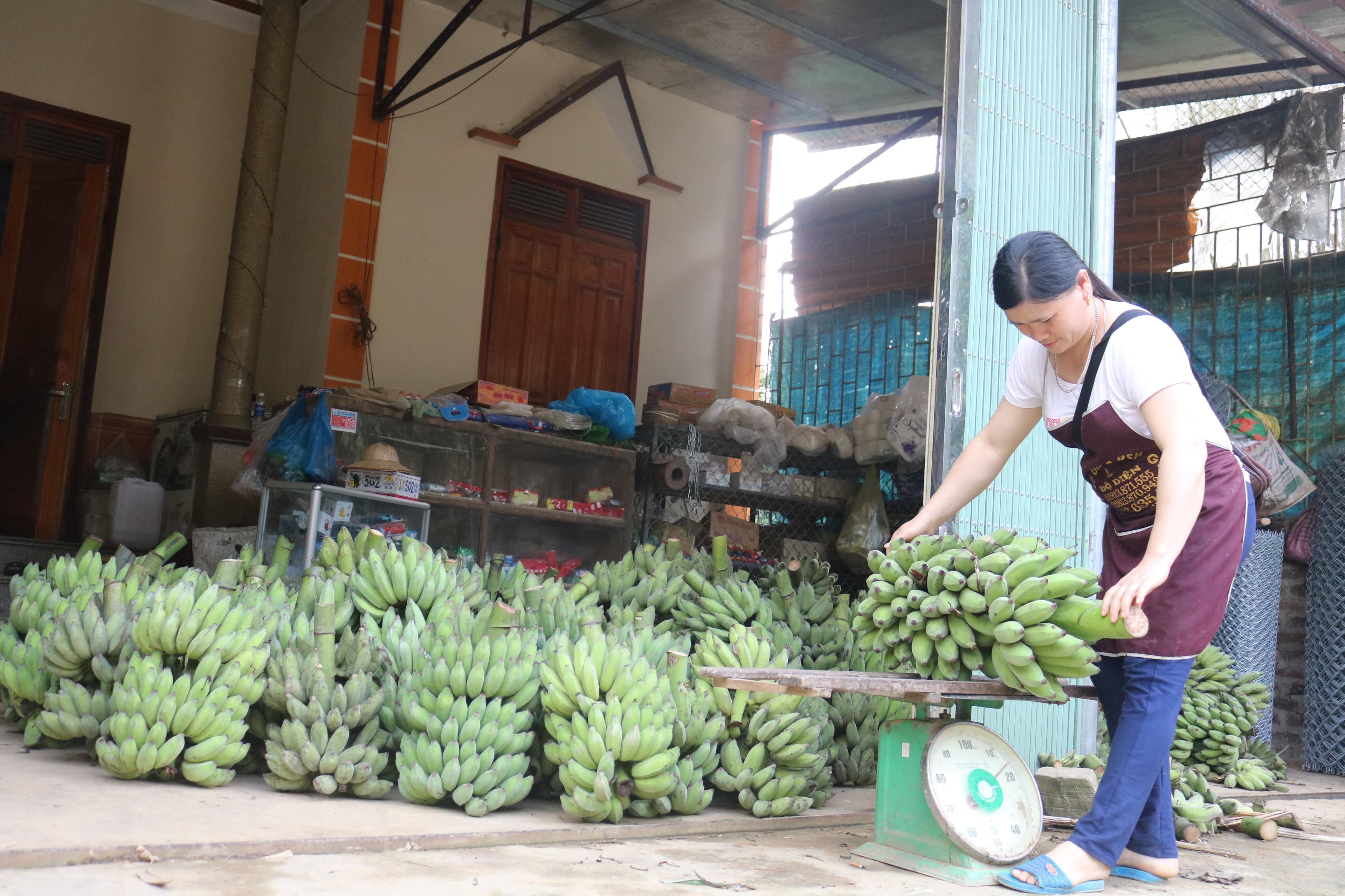 Người "giải cứu" chuối tây ở Thanh Vận