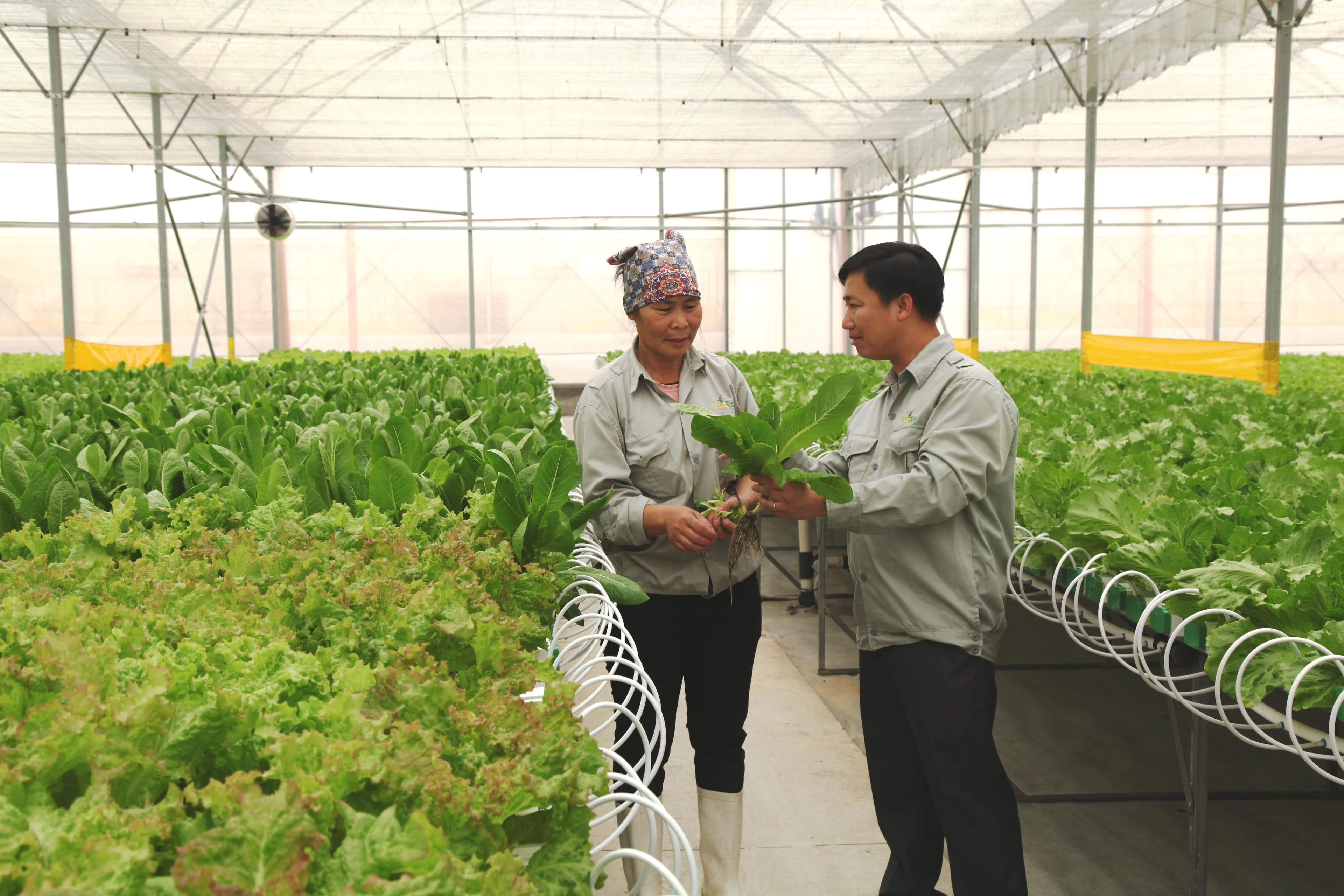 Đa dạng hóa thị trường xuất khẩu để tránh rủi ro thương mại