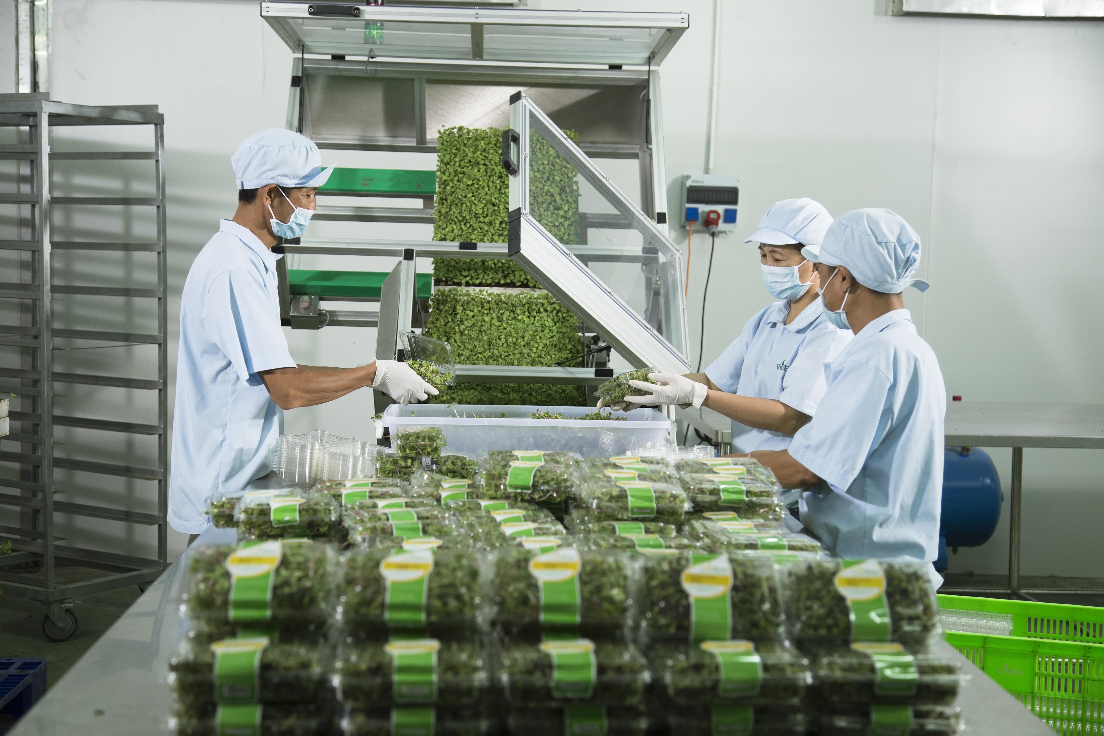 Nông sản Việt Nam trước ngưỡng cửa lớn của thị trường EU