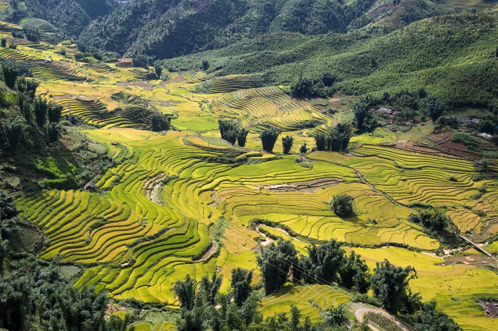 Quảng bá du lịch Việt Nam tại Mỹ