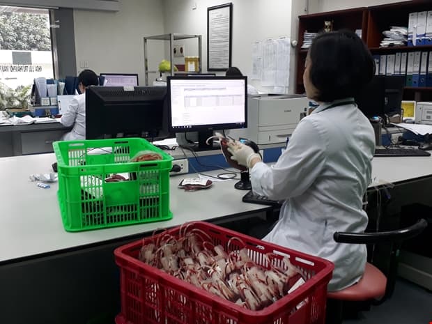 8.000 đơn vị máu dự trữ bảo đảm cho cấp cứu, điều trị ở các bệnh viện dịp Tết