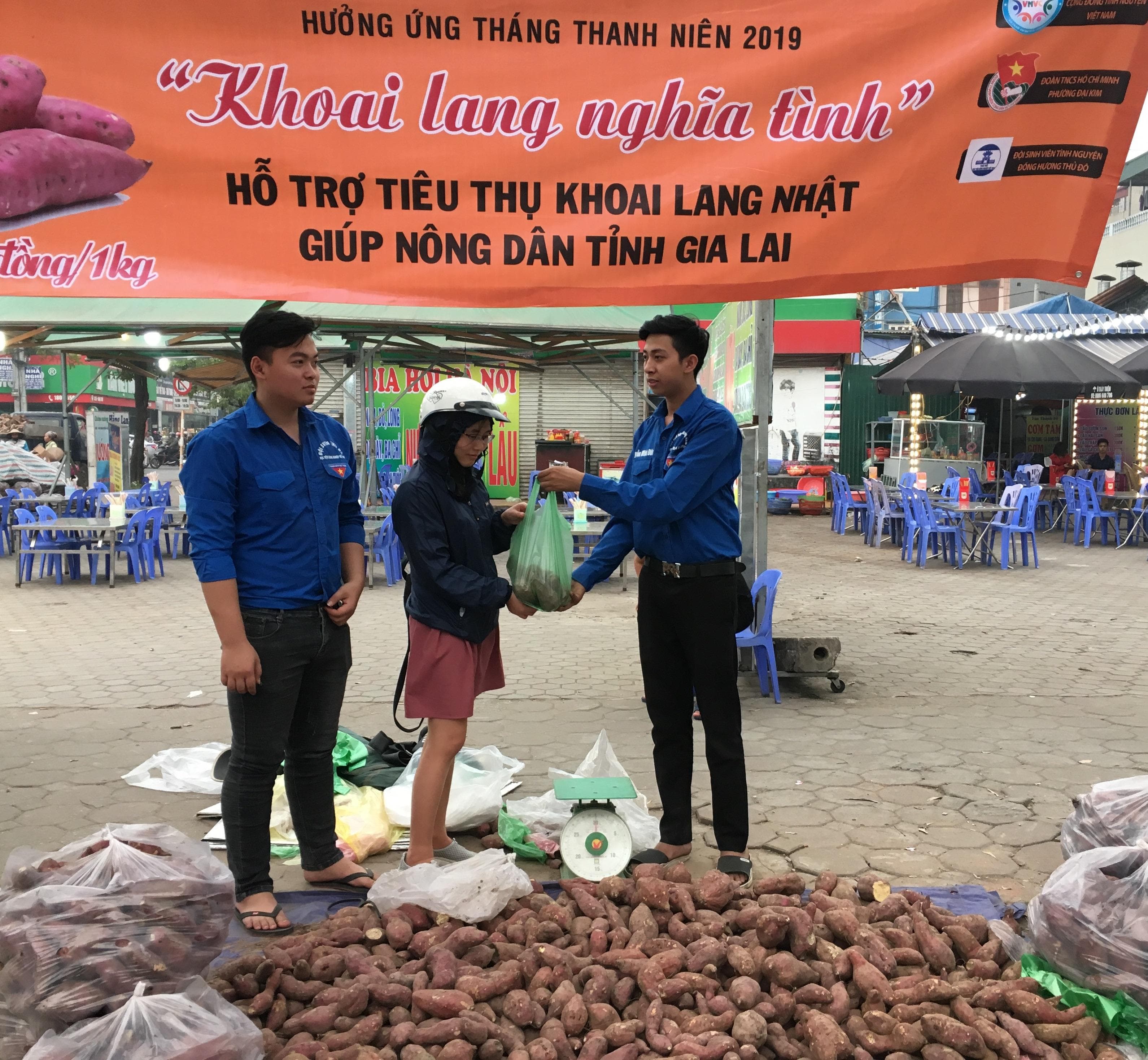 Hỗ trợ nông dân tiêu thụ khoai lang
