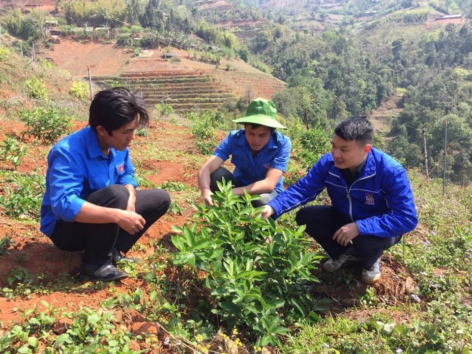 Tiếp sức khởi nghiệp