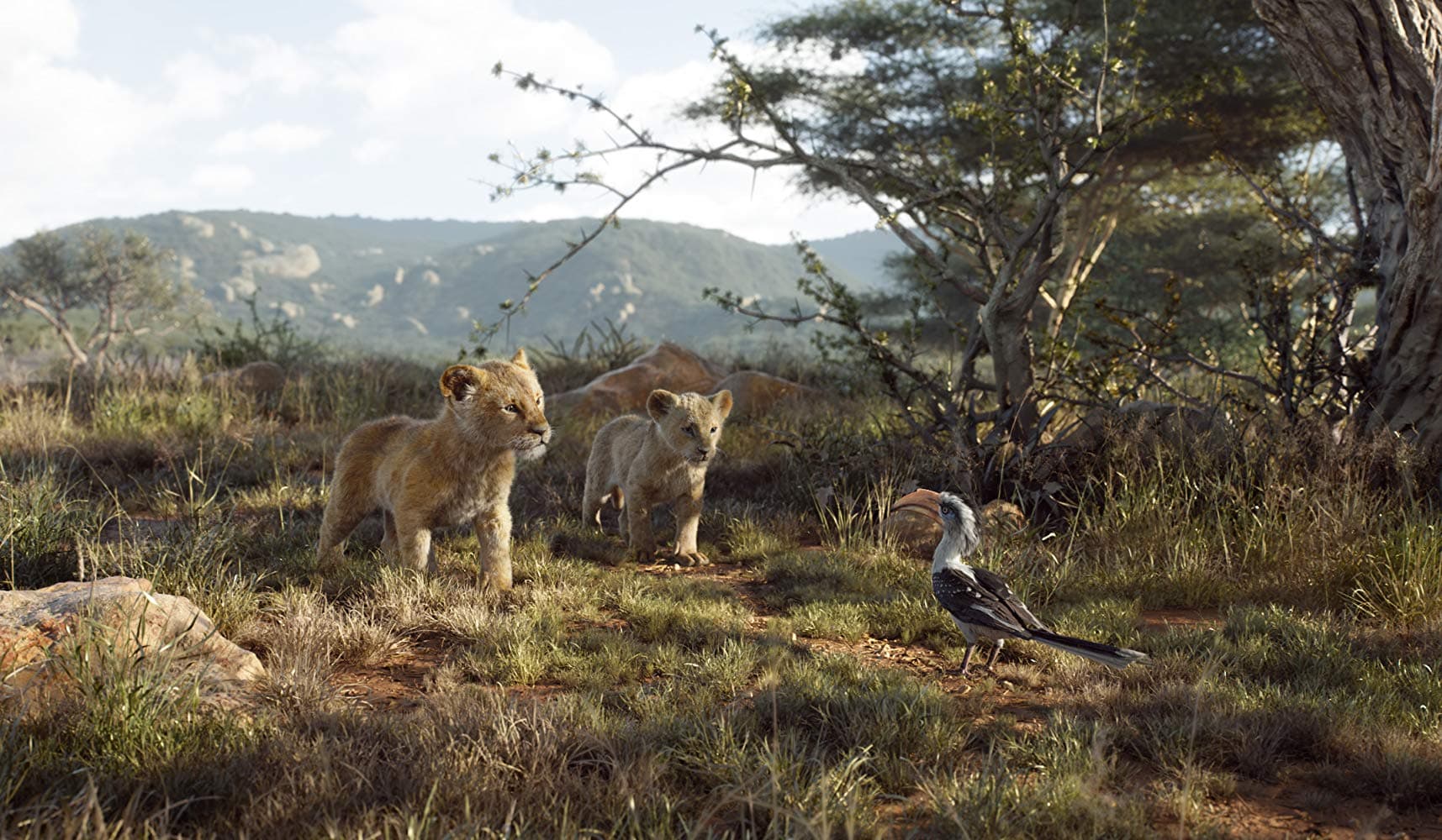 Soán ngôi “Spider-Man”, "The Lion King" giành ngôi vương phòng vé Bắc Mỹ