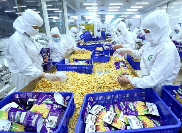 GỠ VƯỚNG THỊ TRƯỜNG LAO ĐỘNG