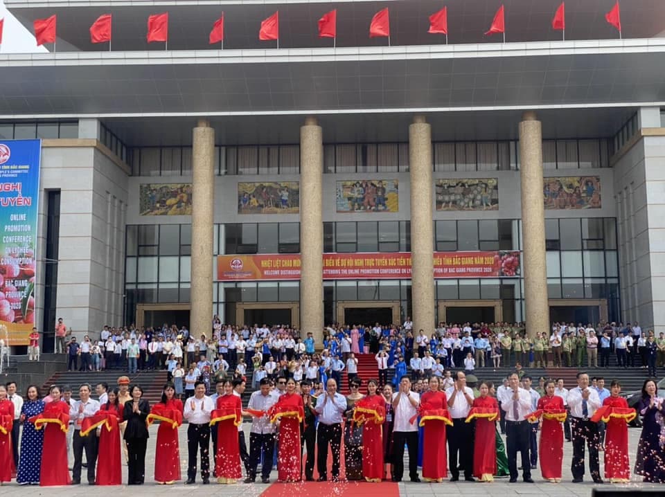 Xúc tiến tiêu thụ vải thiều Bắc Giang trong nước và quốc tế
