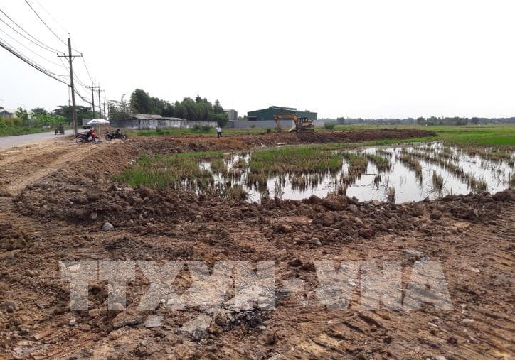 THOÁT CƠN MÊ “SỐT ĐẤT”