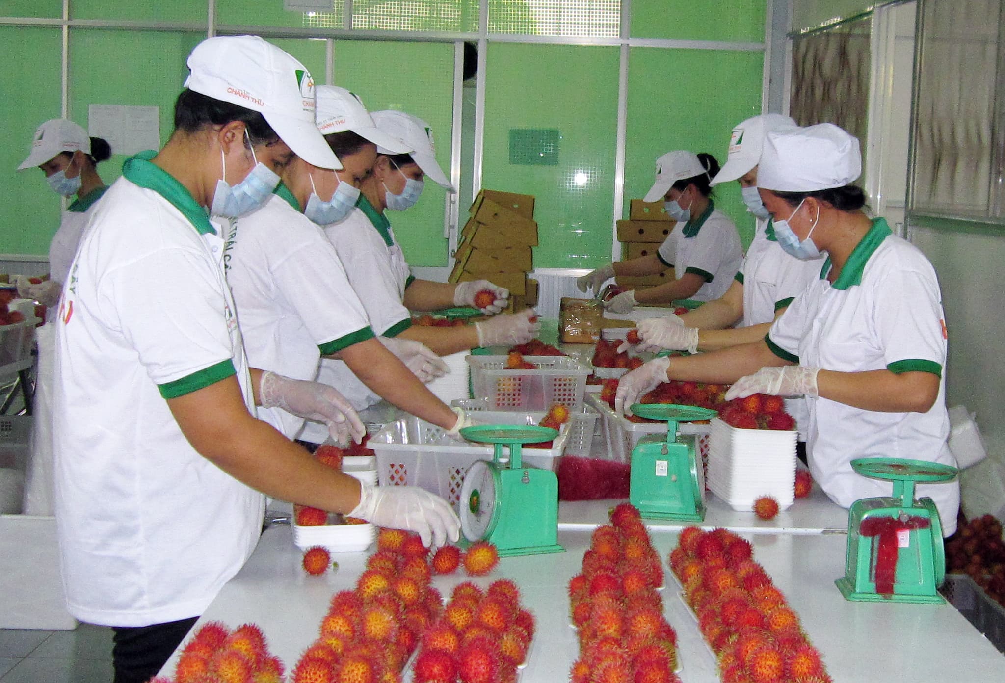 Tháo gỡ rào cản cho hàng nông, lâm, thủy sản vào thị trường EU