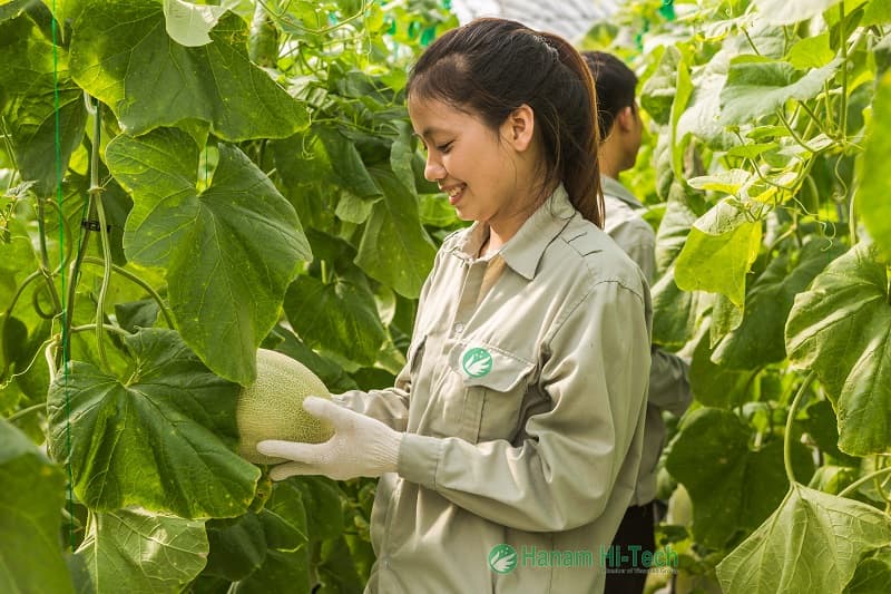 Đón thời cơ để thúc đẩy tăng trưởng