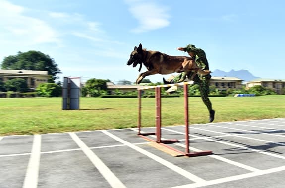 "Vũ khí đặc biệt" tham dự Army Games 2020