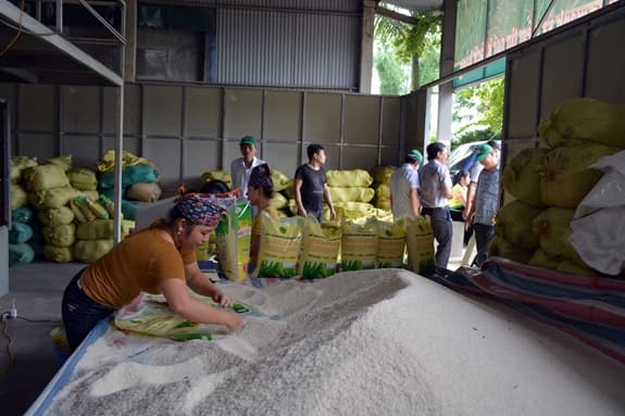 Nếu không tập trung cho thị trường nội địa, chúng ta sẽ thua ngay chính trên “sân nhà”