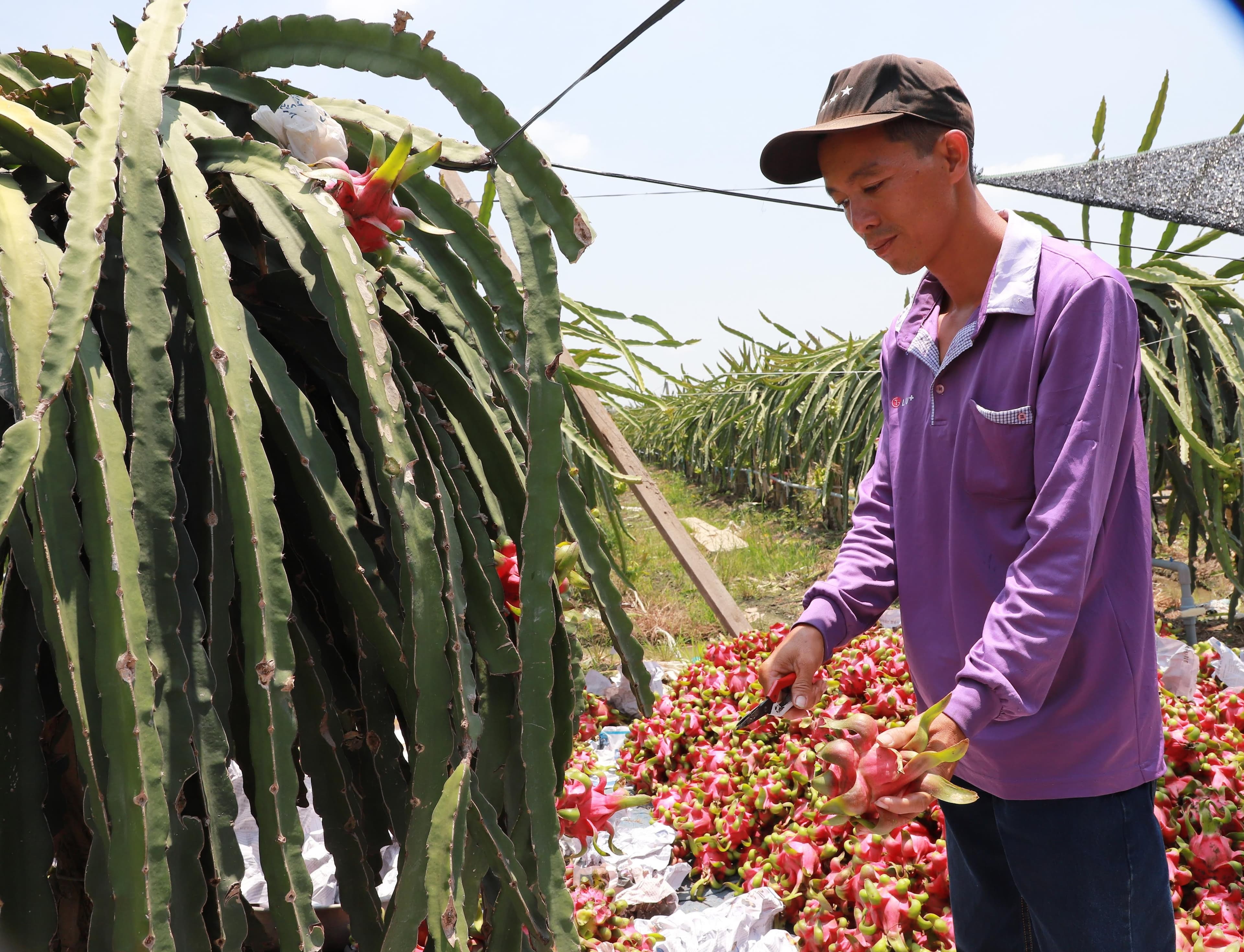 Phần lớn doanh nghiệp chưa nhận diện được cơ hội cụ thể từ EVFTA