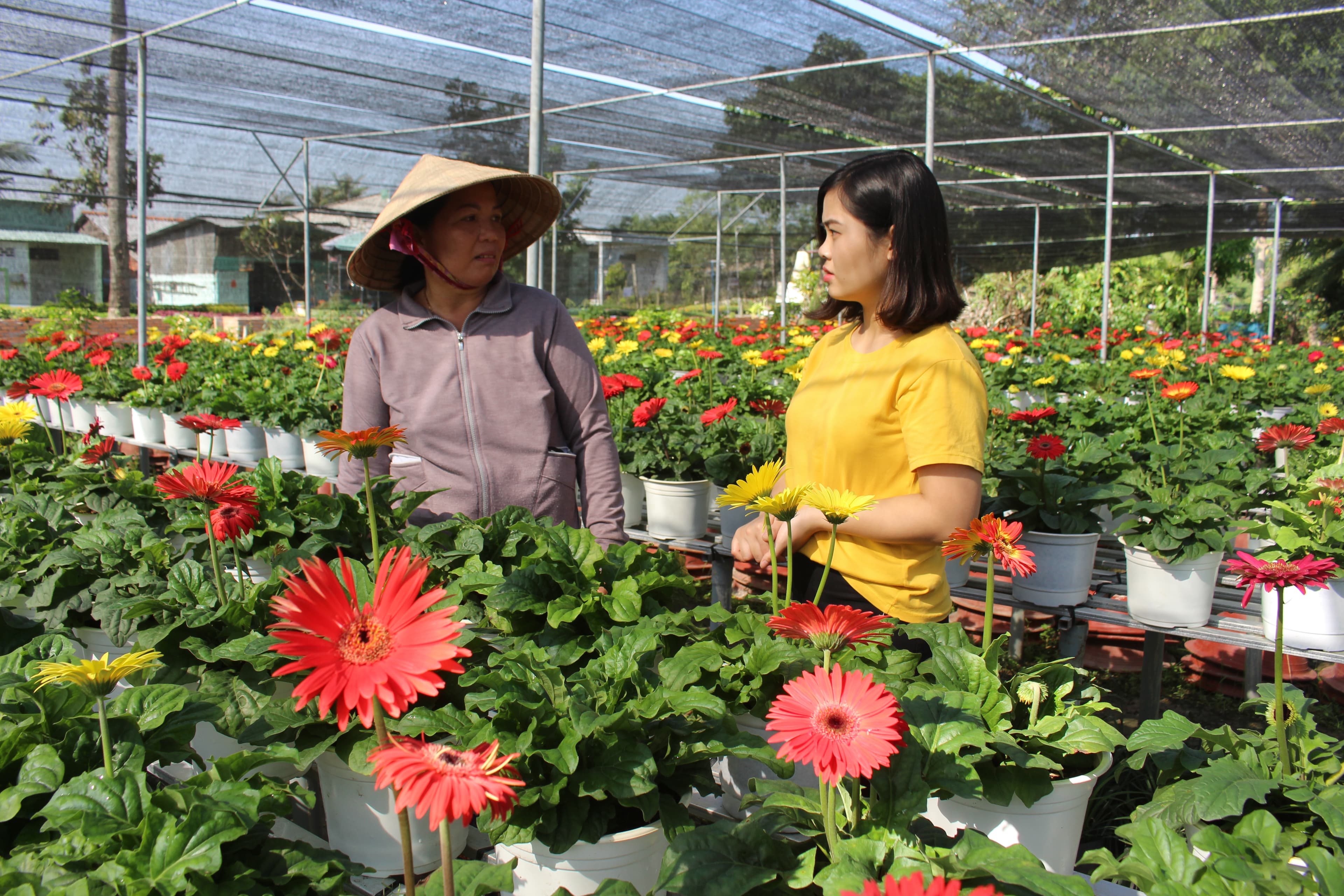 Lo ngại sức mua giảm dịp Tết bởi dịch Covid-19
