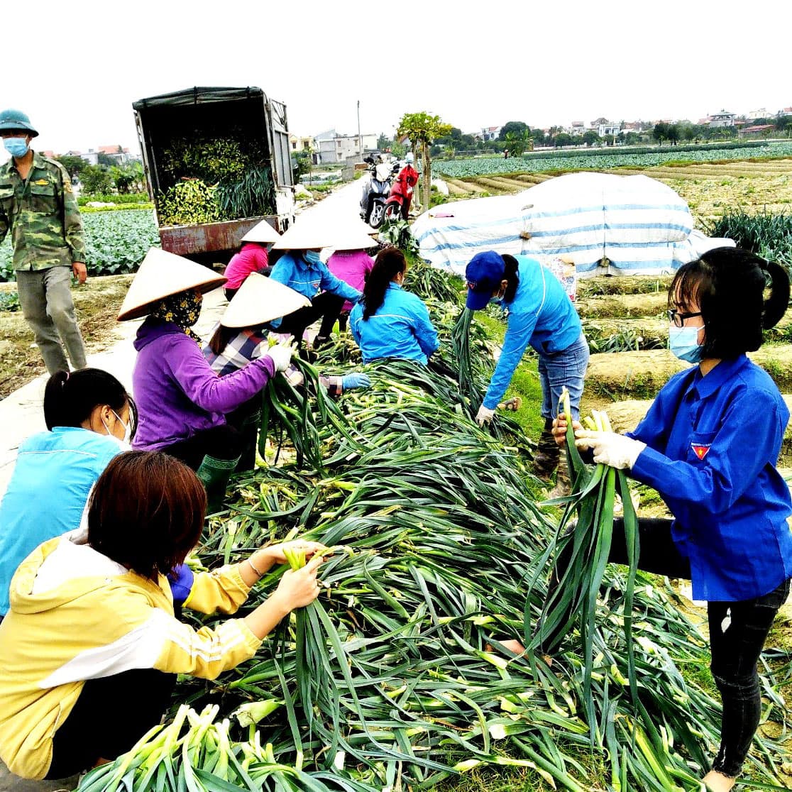 Tiếng gọi khẩn thiết từ đồng quê Tứ Kỳ