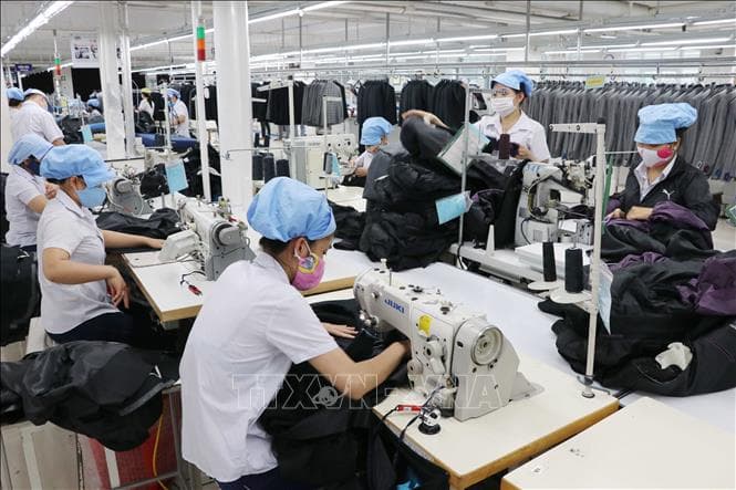 Dịch Covid-19 thúc đẩy việc ứng dụng công nghệ thông tin của người lao động