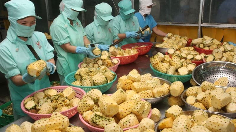 Ba Lan có nhu cầu lớn với những mặt hàng thế mạnh xuất khẩu của Việt Nam