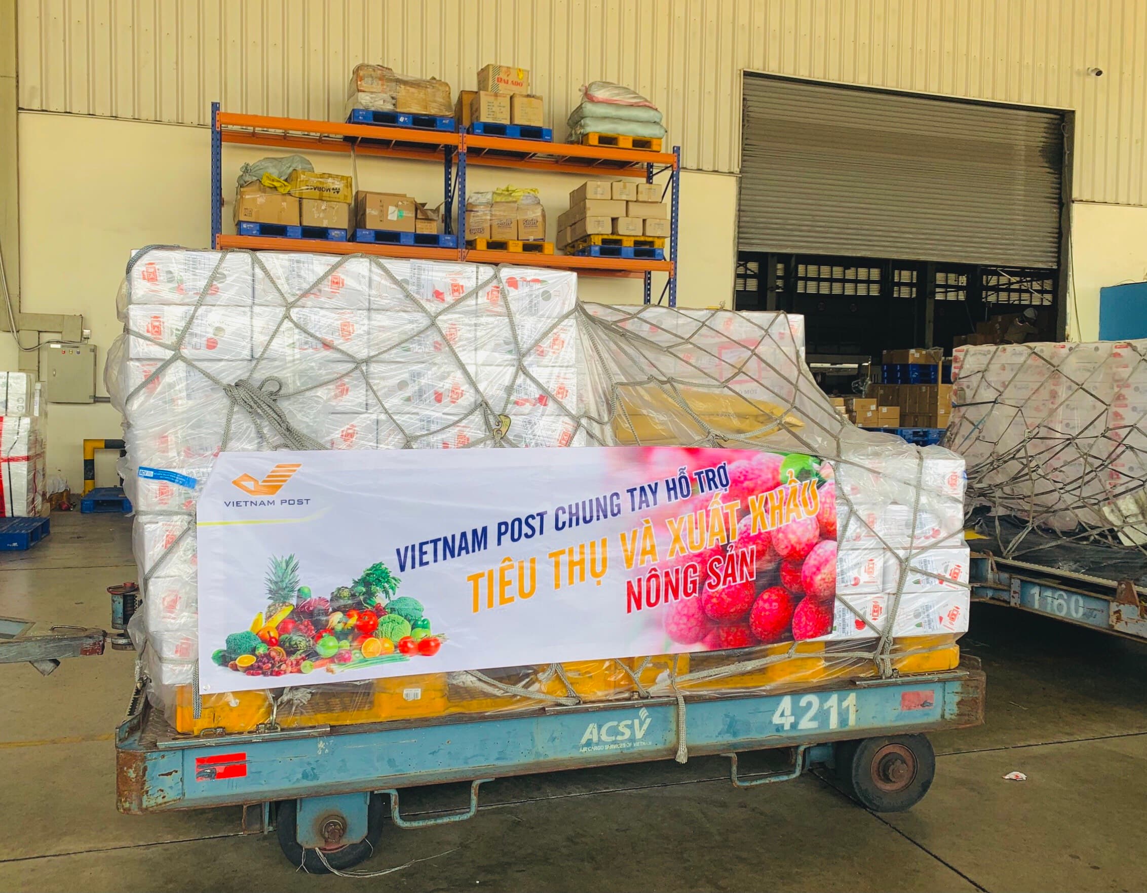 ​Chuyến bay vận chuyển vải thiều Việt Nam xuất khẩu sang Nhật Bản