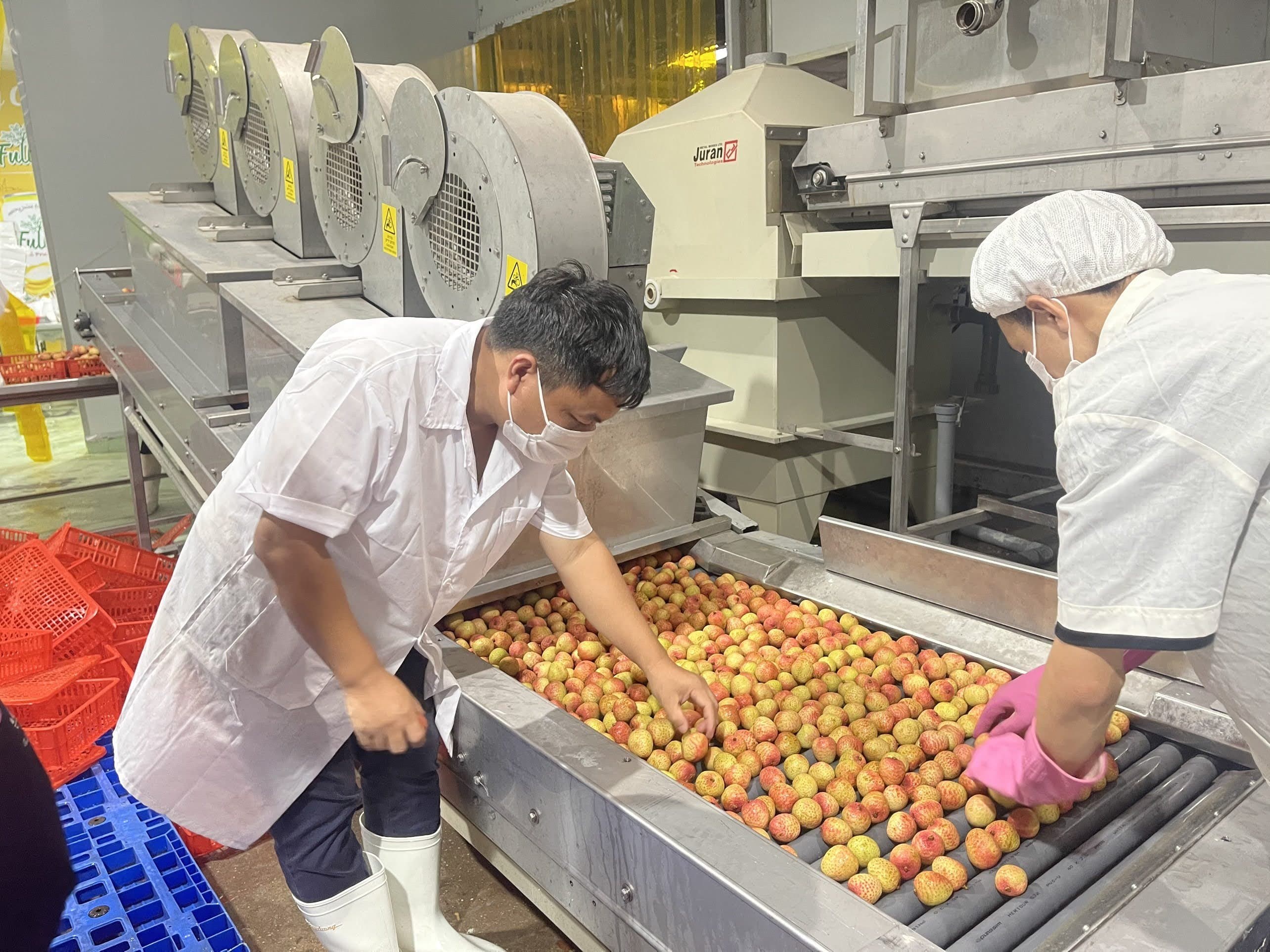 Đưa nông sản Việt Nam tiến sâu vào thị trường Nhật Bản