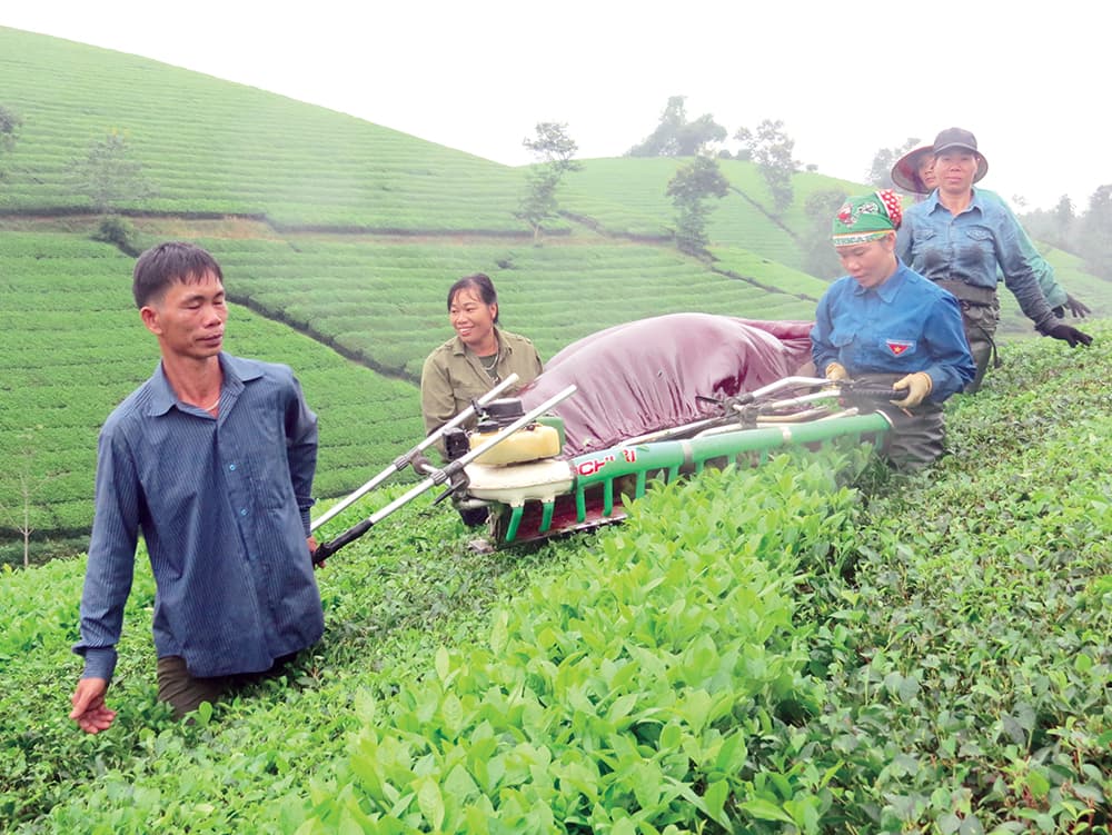 Phát triển nguồn nhân lực là người dân tộc thiểu số