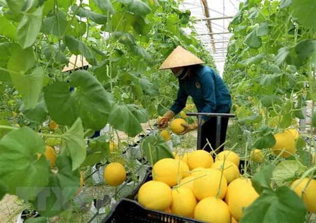 Australia hỗ trợ Việt Nam phát triển nông nghiệp