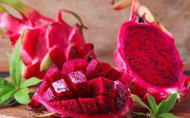Sơn La xuất khẩu 10 tấn thanh long ruột đỏ sang Liên bang Nga