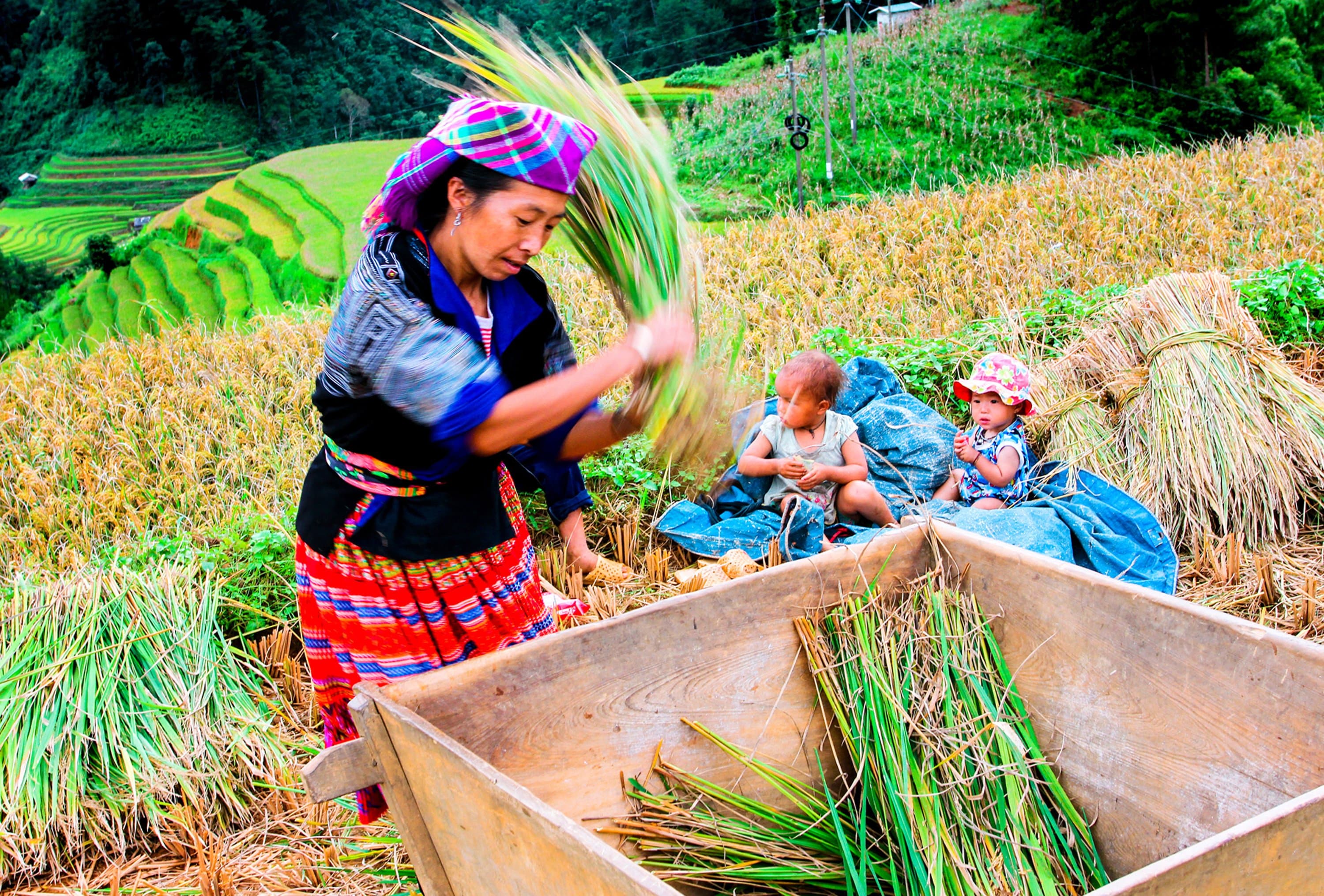 Thoát nghèo từ "cái đầu nghĩ, cái chân đi"