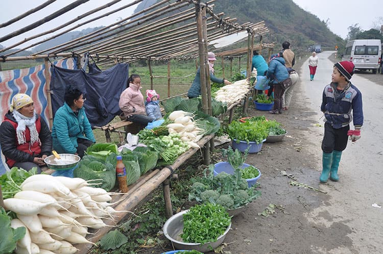 Hiệu quả từ mô hình hợp tác xã toàn thôn