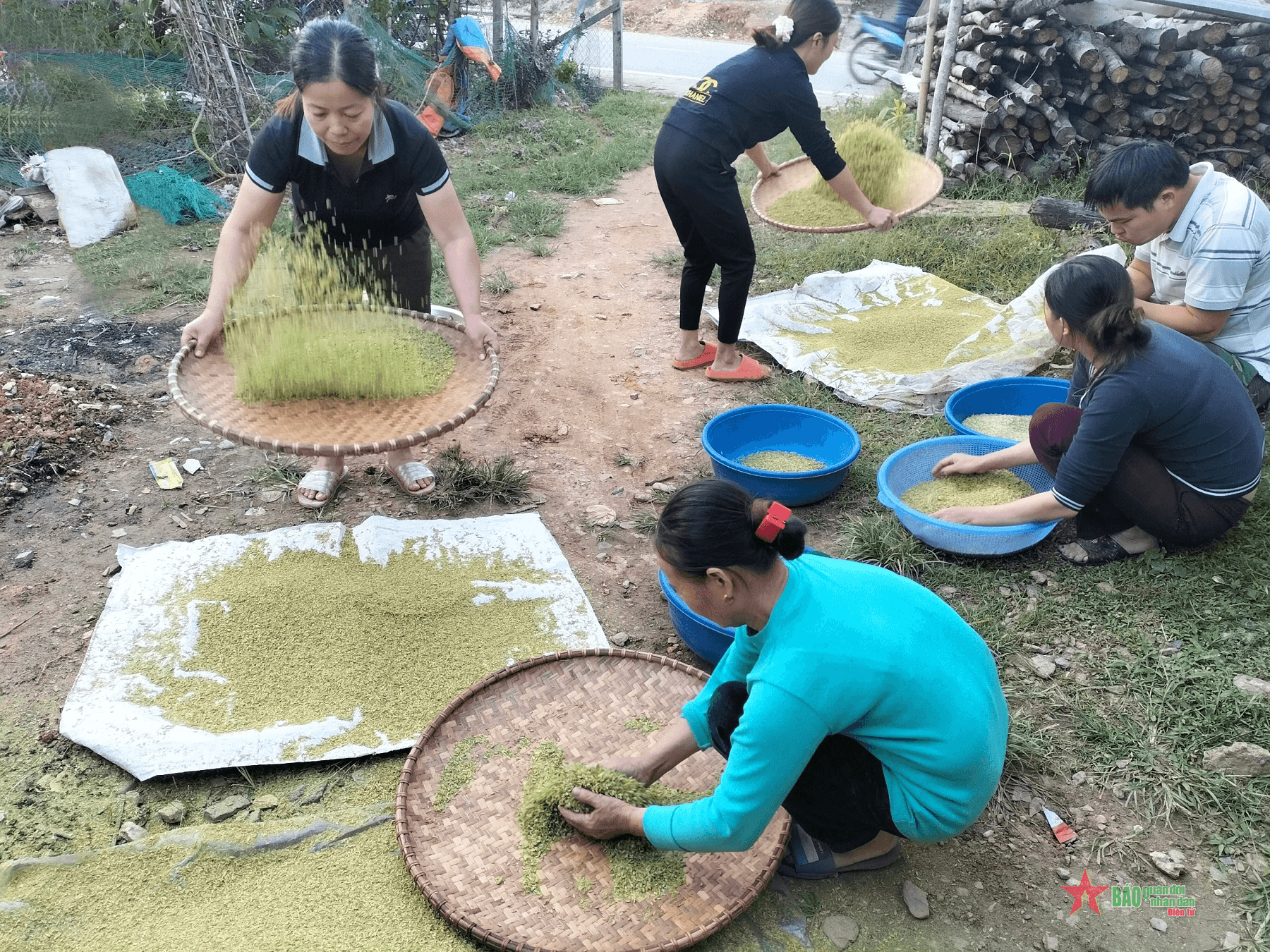Mùa cốm ở Đồng Lạc