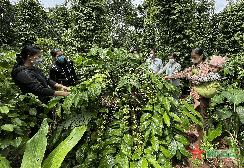 Huy động nguồn lực chăm lo cho đồng bào dân tộc thiểu số
