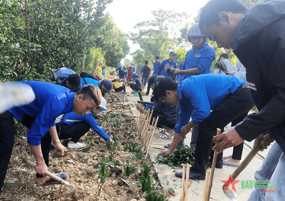Xanh, sạch, đẹp từ Phong trào “Ngày chủ nhật xanh”