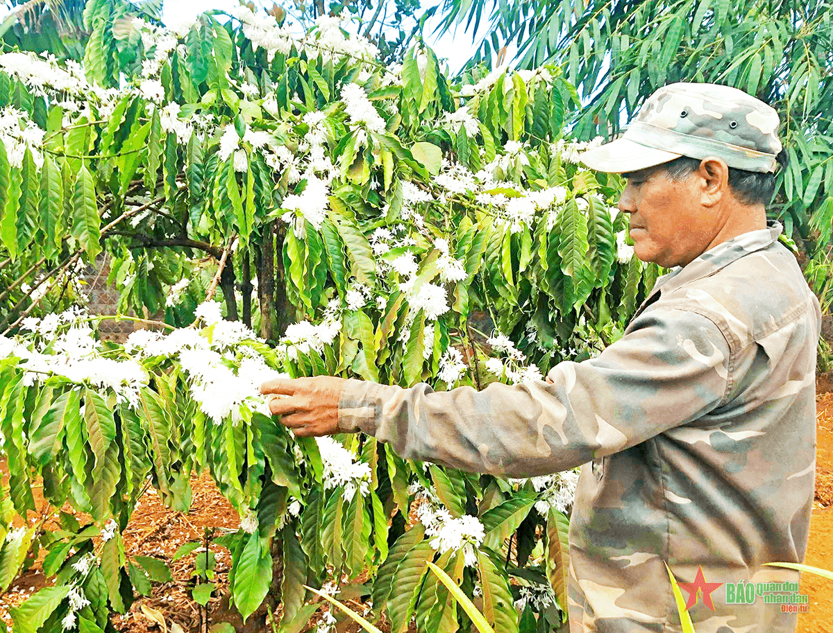 Hơn 30 năm làm trưởng thôn, dân vẫn chưa cho nghỉ
