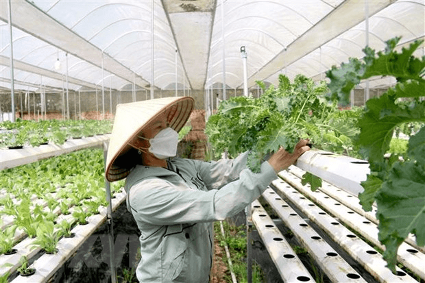 Phát triển kinh tế tập thể, hợp tác xã là tất yếu khách quan, có ý nghĩa chiến lược và lâu dài trong nền kinh tế thị trường định hướng XHCN ở nước ta