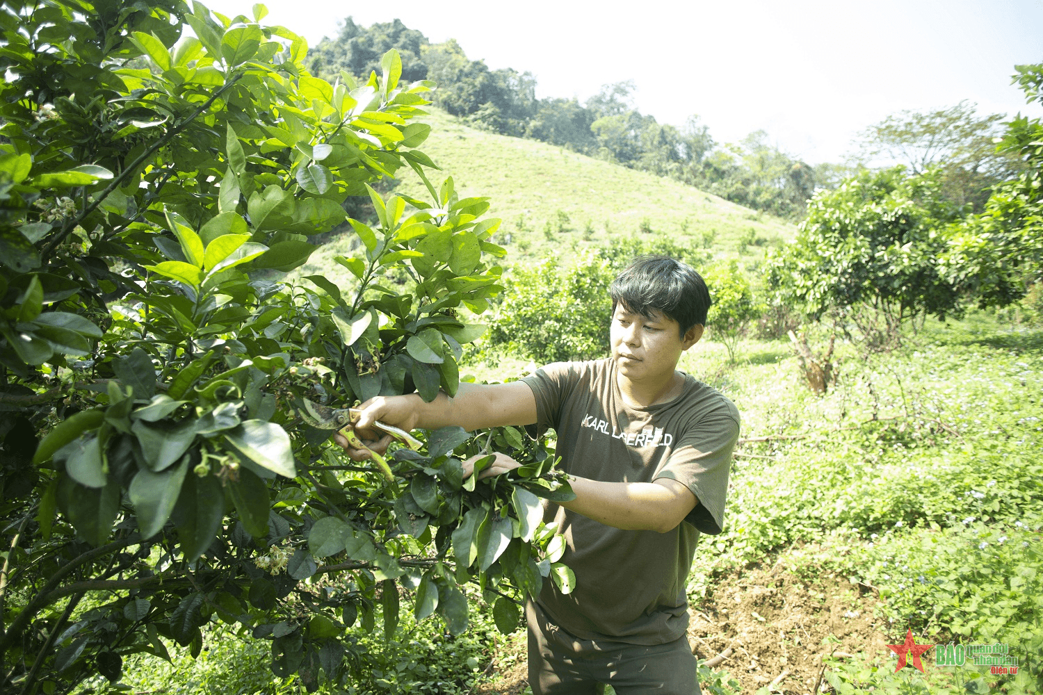 Trưởng bản người Mường làm kinh tế giỏi