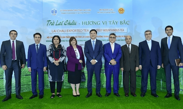 Tăng cường xuất khẩu trà của tỉnh Lai Châu vào Trung Đông, Bắc Phi và Nam Á