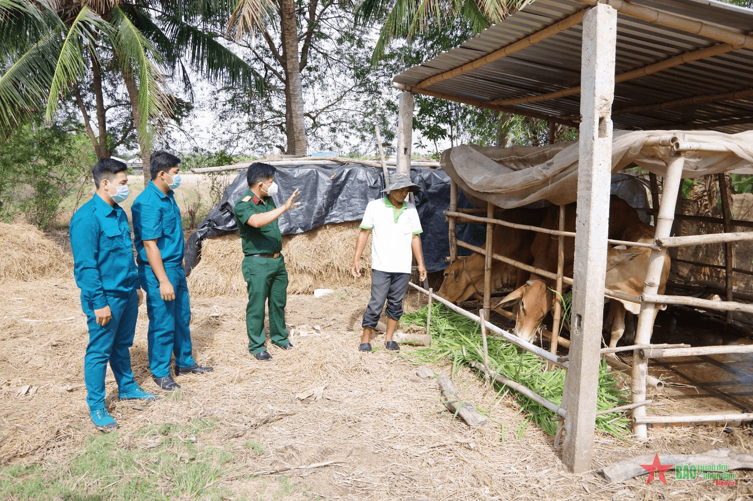 Mô hình thoát nghèo tiêu biểu của dân quân người Khmer