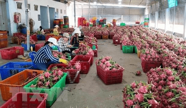 Xây dựng trung tâm dữ liệu phân tích, dự báo thị trường nông sản